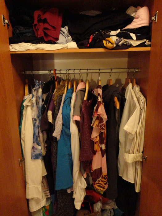 DSC00512 (525x700, 479Kb)
