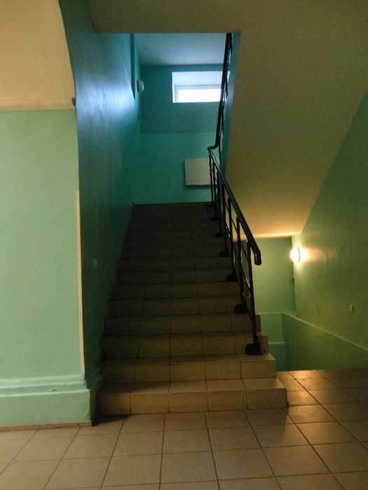 DSC00545 (525x700, 421Kb)