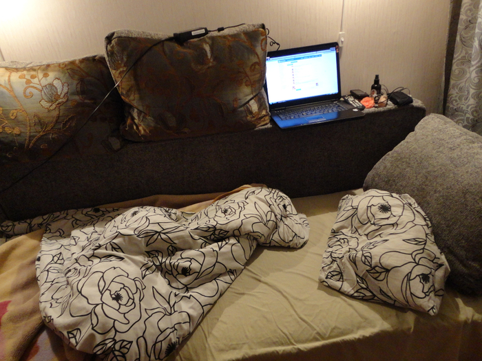 DSC00612 (700x525, 484Kb)