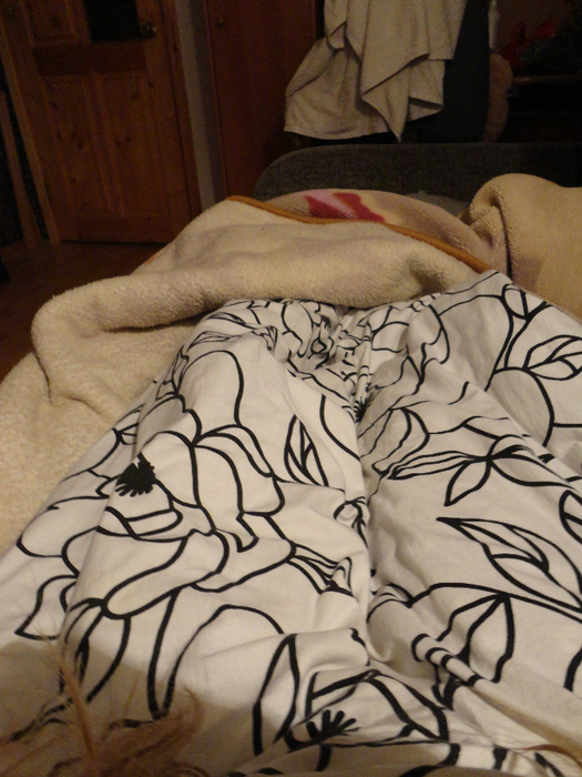 DSC00632 (525x700, 468Kb)