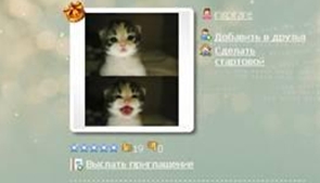 3259274_cats (295x169, 26Kb)