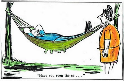 funny-cat-picture-kitty-squished-in-hammock-domestic-animal-cartoon (400x263, 35Kb)