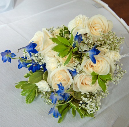 delphinium-roses (450x442, 73Kb)