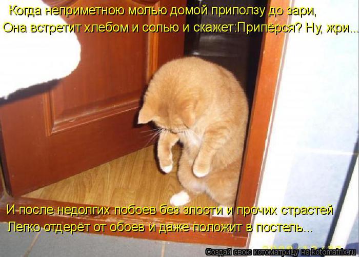 4326608_5b545072c882 (700x501, 58Kb)