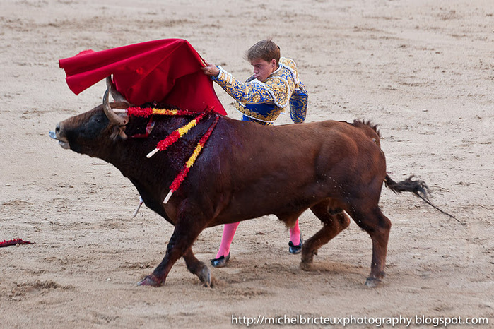 ES-Corrida 2011 2228w (700x466, 158Kb)