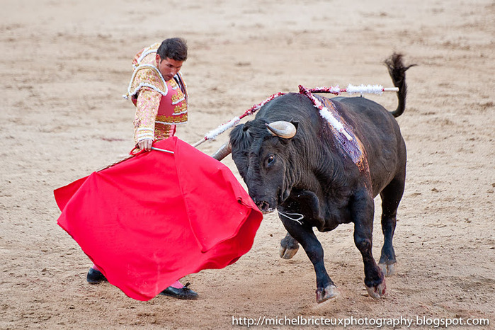 ES-Corrida 2011 2504w (700x466, 157Kb)