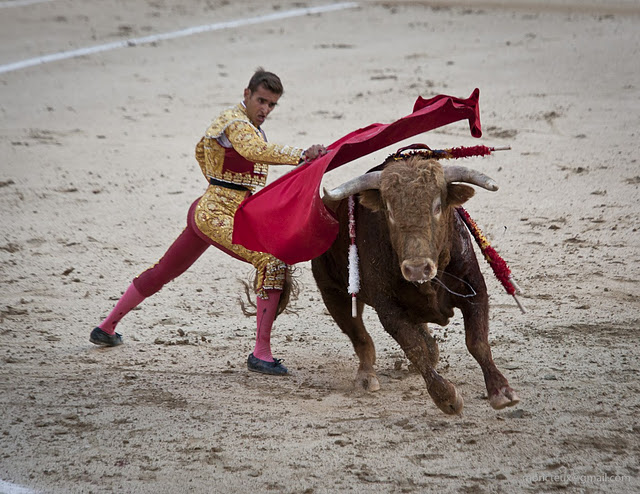 ES-Corrida 2010 5860w (640x494, 119Kb)