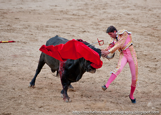 ES-Corrida 2011 2549w (640x457, 128Kb)