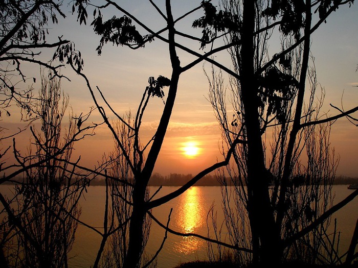 0_7f161_75706f02_XL (700x525, 169Kb)