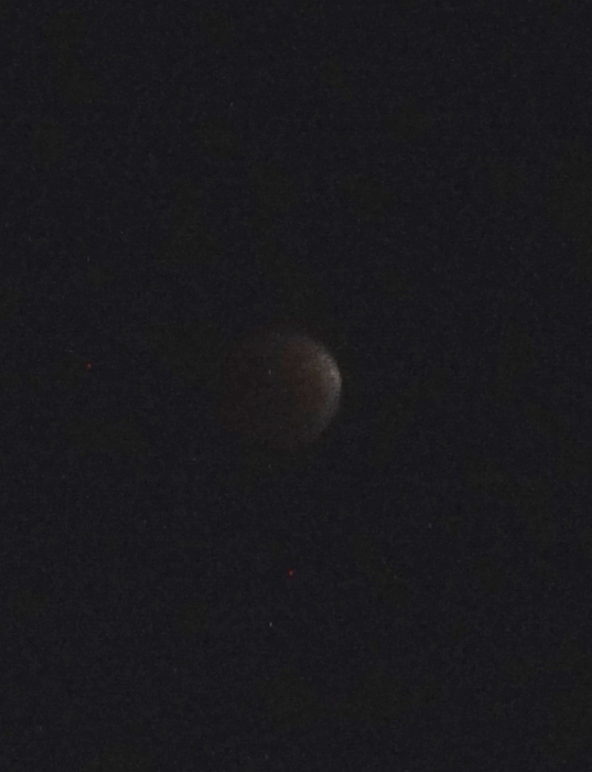 7 (537x700, 140Kb)