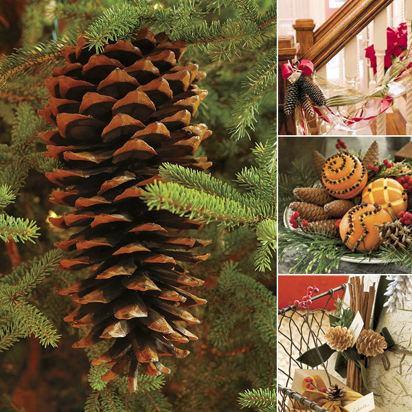 4287072_pineconesnewyeardecorideas (600x600, 439Kb)