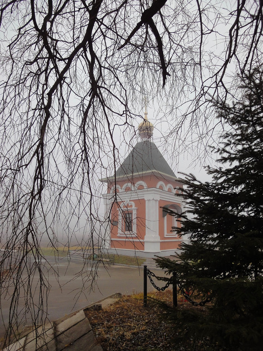 DSC09642-1 (525x700, 221Kb)