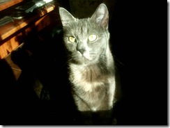 IMG0067A