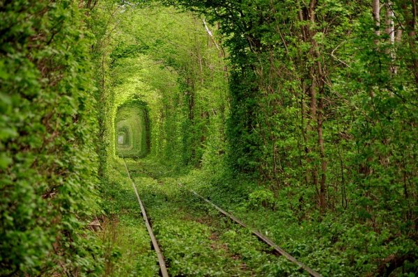 3 (600x398, 91Kb)
