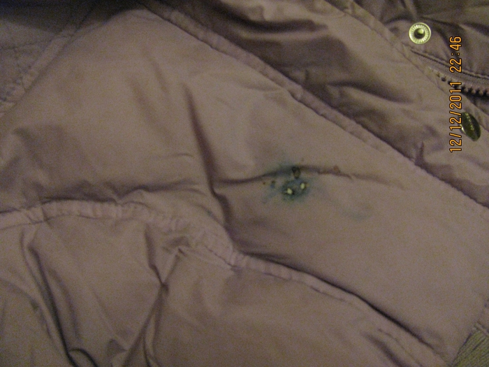 IMG_4732[1] (700x525, 258Kb)