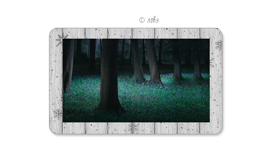 1324044357_pppp (550x327, 137Kb)