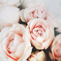 1324047148_fdnfh (120x120, 32Kb)
