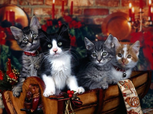 2 (640x480, 72Kb)