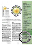  106 - Bead n Button Dec 2011(25) (494x700, 293Kb)