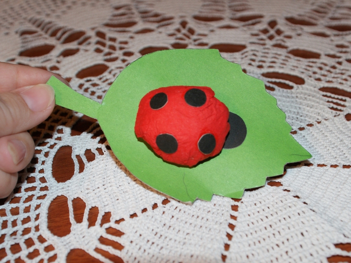 4038410_DSC04525 (700x525, 287Kb)