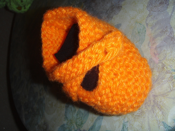 DSC01762 (700x525, 196Kb)