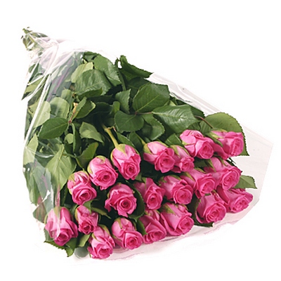 5763-20_pink_rose_gift_wrap (400x400, 71Kb)