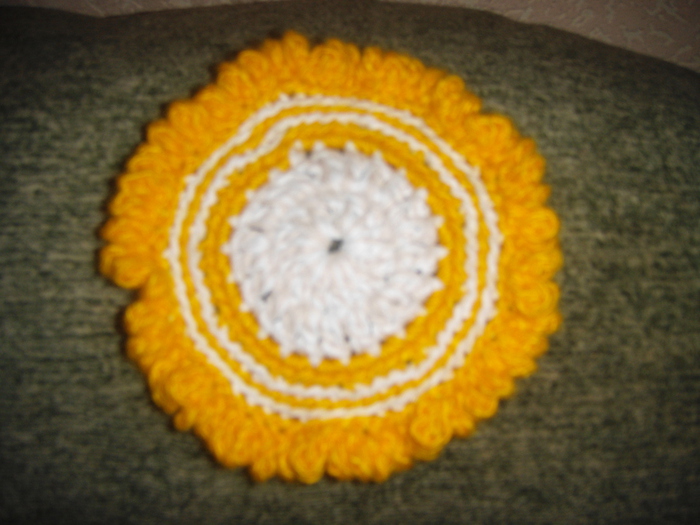 DSC01779 (700x525, 177Kb)