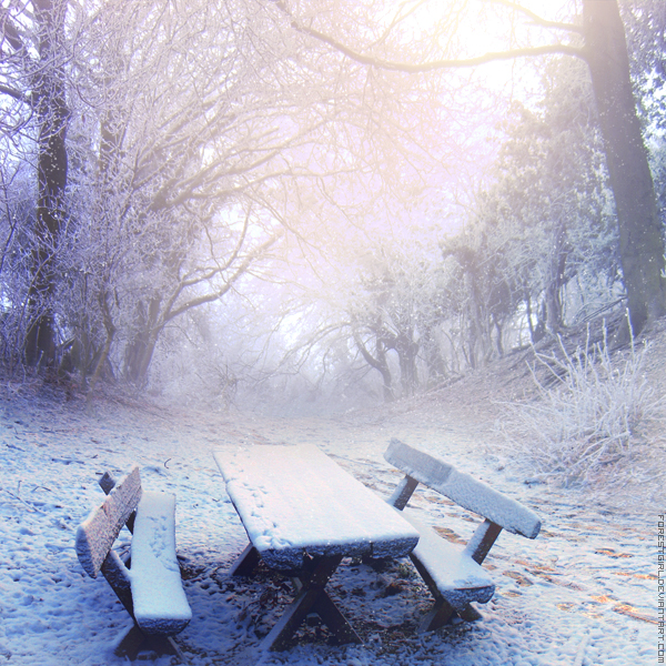 3259274_Last_Snow_by_ForestGirl (600x600, 446Kb)