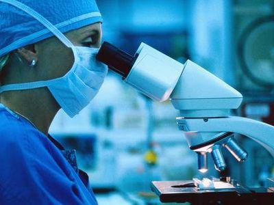 medical_research (400x300, 21Kb)
