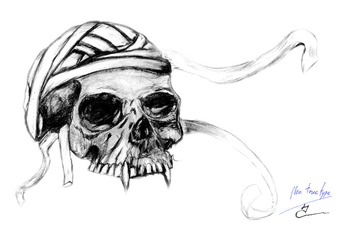 skull one/1324338706_IMG_ONE4a (700x470, 63Kb)