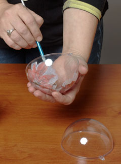 1324396569_shar (239x323, 15Kb)