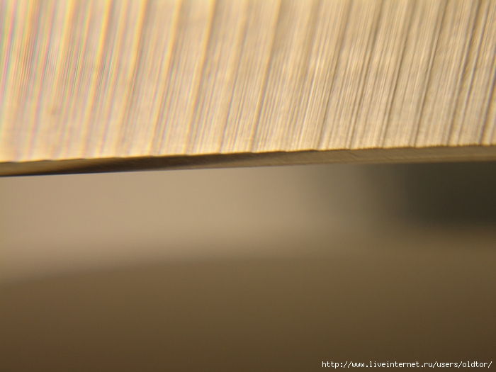 DSC03478 (700x525, 155Kb)