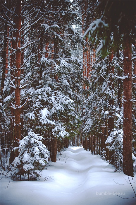12 (465x700, 309Kb)