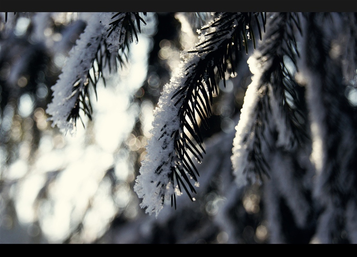 16 (700x504, 157Kb)