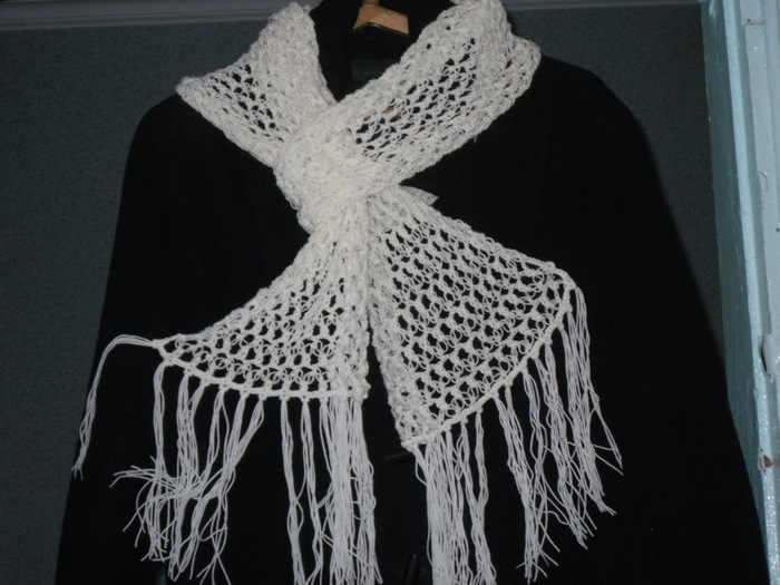 SAM_3056 (700x525, 110Kb)