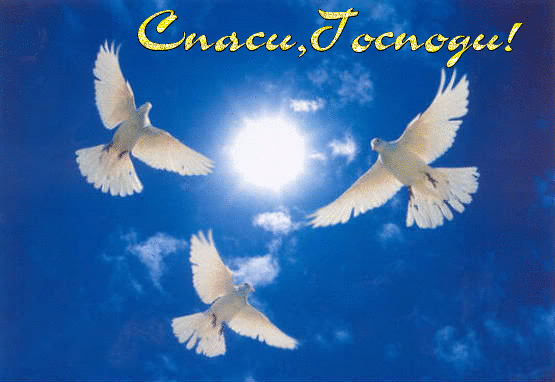 ______~178 (555x382, 144Kb)