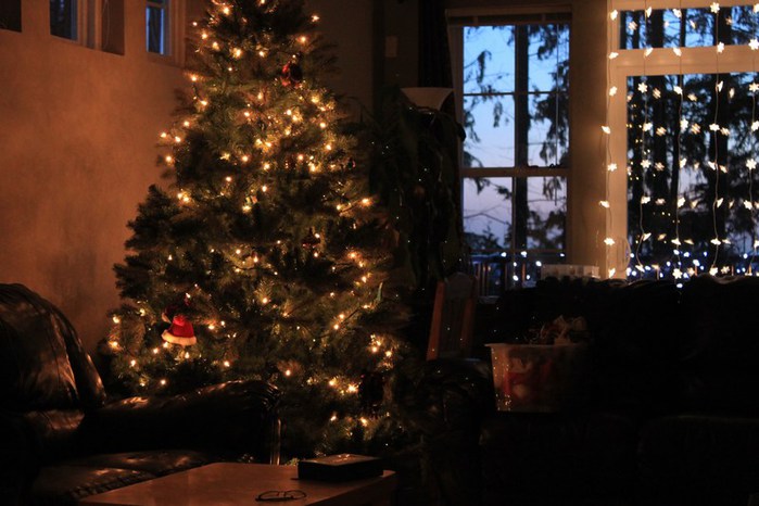 mini-044 (700x466, 77Kb)