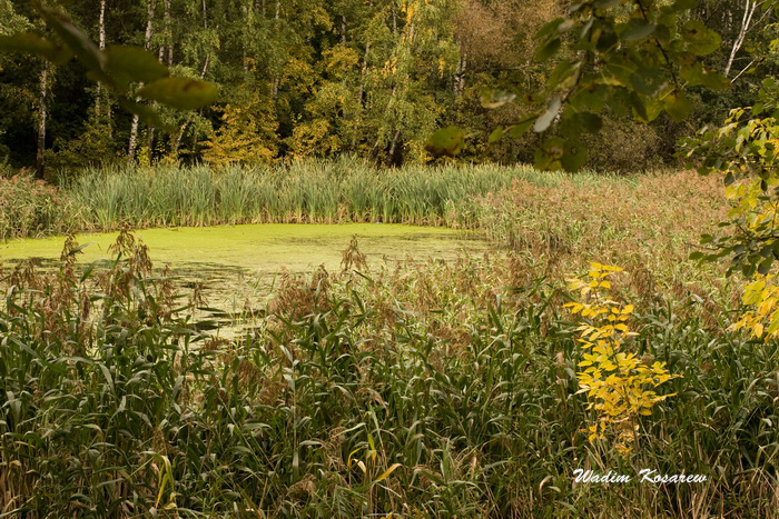 IMG_0489 (700x467, 457Kb)