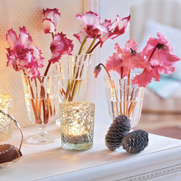 home-flowers-in-new-year-decorating2-6 (600x600, 59Kb)