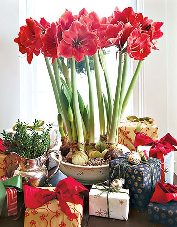 home-flowers-in-new-year-decorating3-1 (360x460, 70Kb)