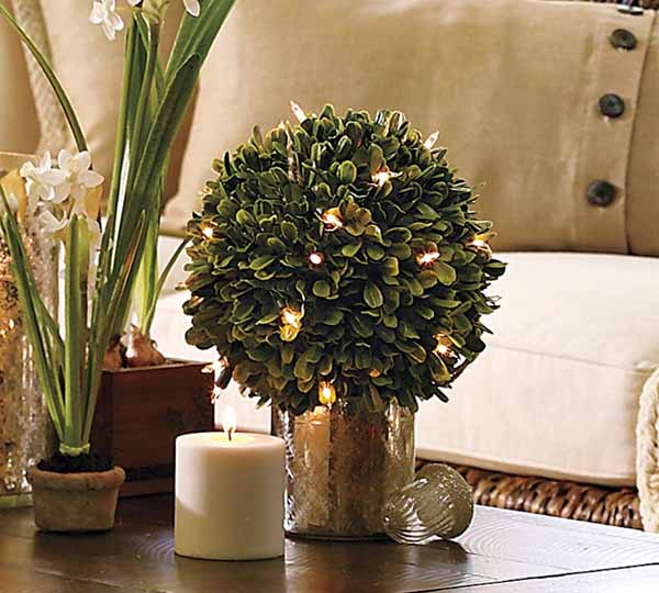 home-flowers-in-new-year-decorating3-11 (600x540, 51Kb)