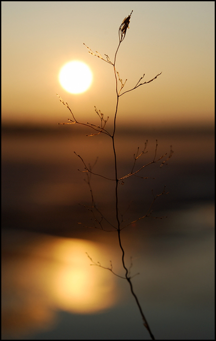 picturecontent-pid-38d62 (444x700, 163Kb)