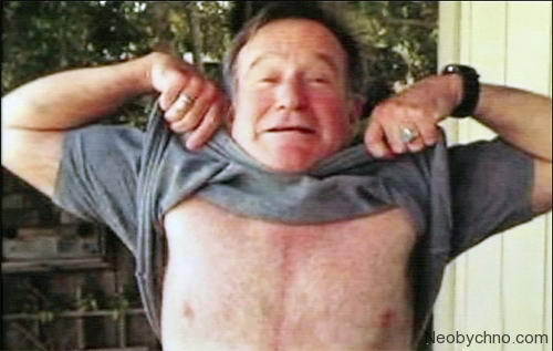02-robin-williams (500x317, 25Kb)
