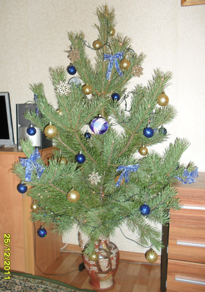 SDC11510 (410x584, 223Kb)