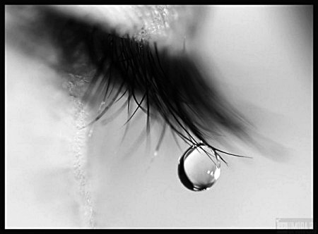 x_8123be16 (450x332, 25Kb)