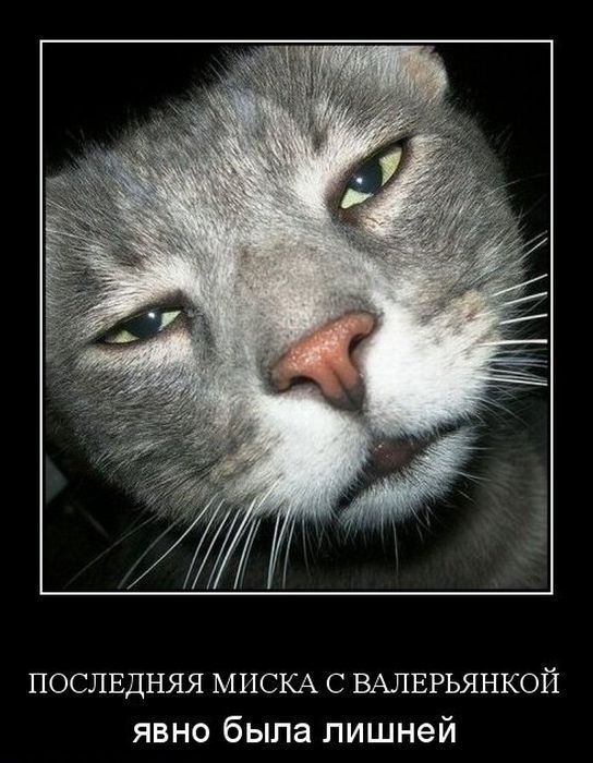 demotivator-0060 (544x700, 77Kb)