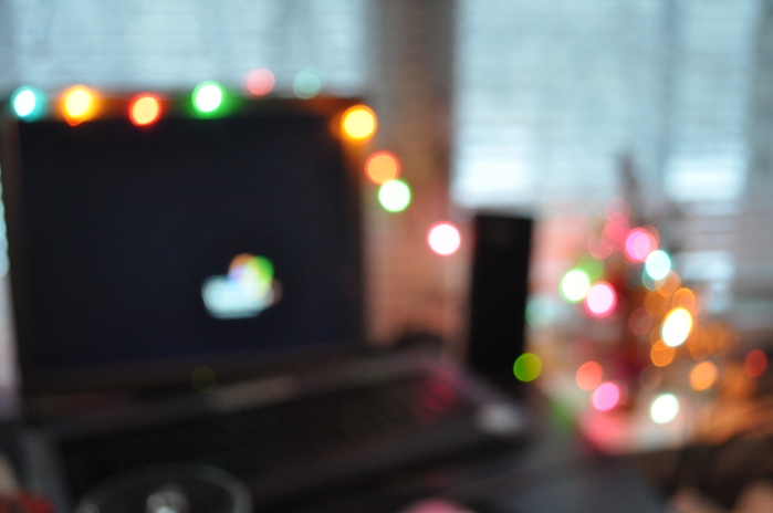 DSC_1345 (700x464, 156Kb)