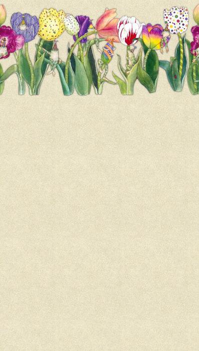 tulip48 (397x700, 41Kb)