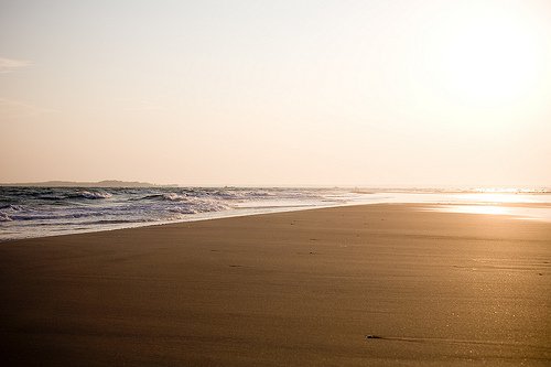 1394959_83573fa96043 (500x333, 20Kb)