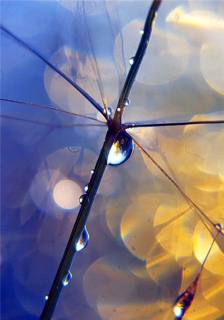 8013c8c9e91f (448x640, 42Kb)